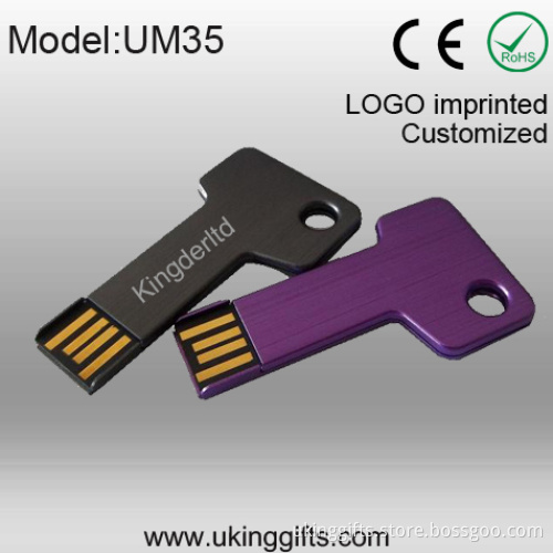 Metal Key USB Flash Pen Drive of USB Flash Memory